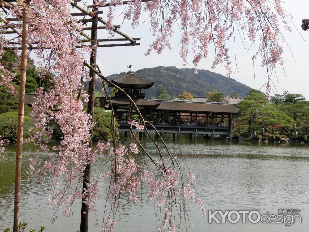 平安神宮神苑