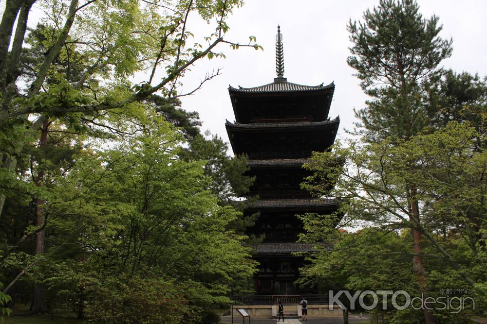 仁和寺　五重塔