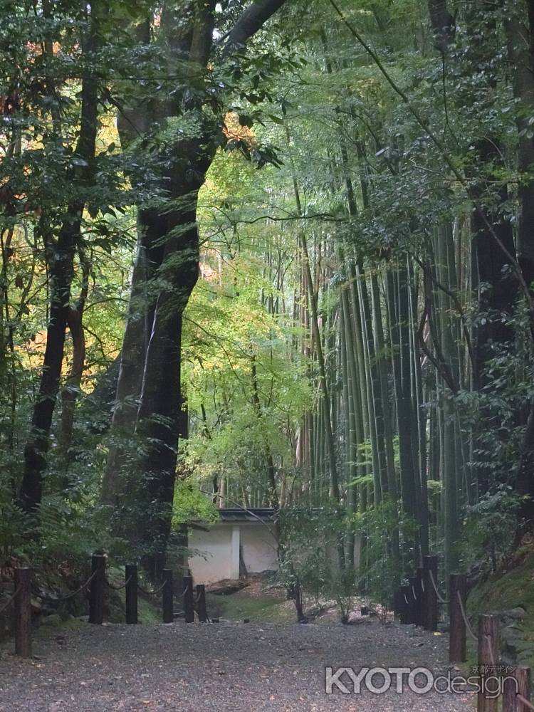 地蔵院