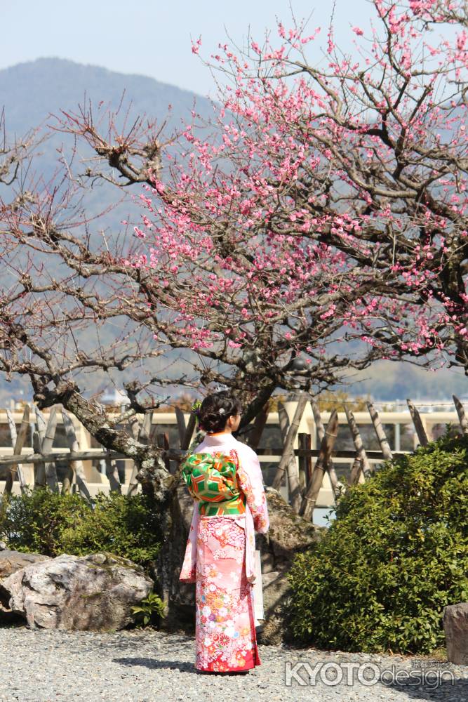 十三参り　虚空蔵法輪寺