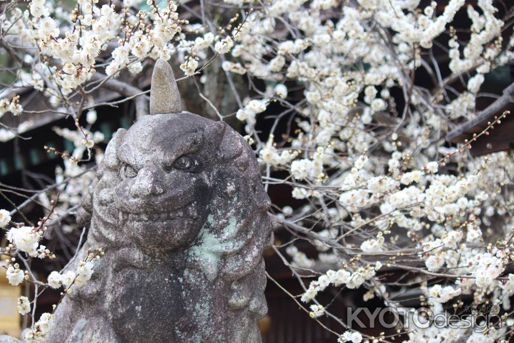 狛犬と白梅