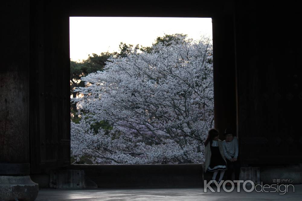 南禅寺の桜