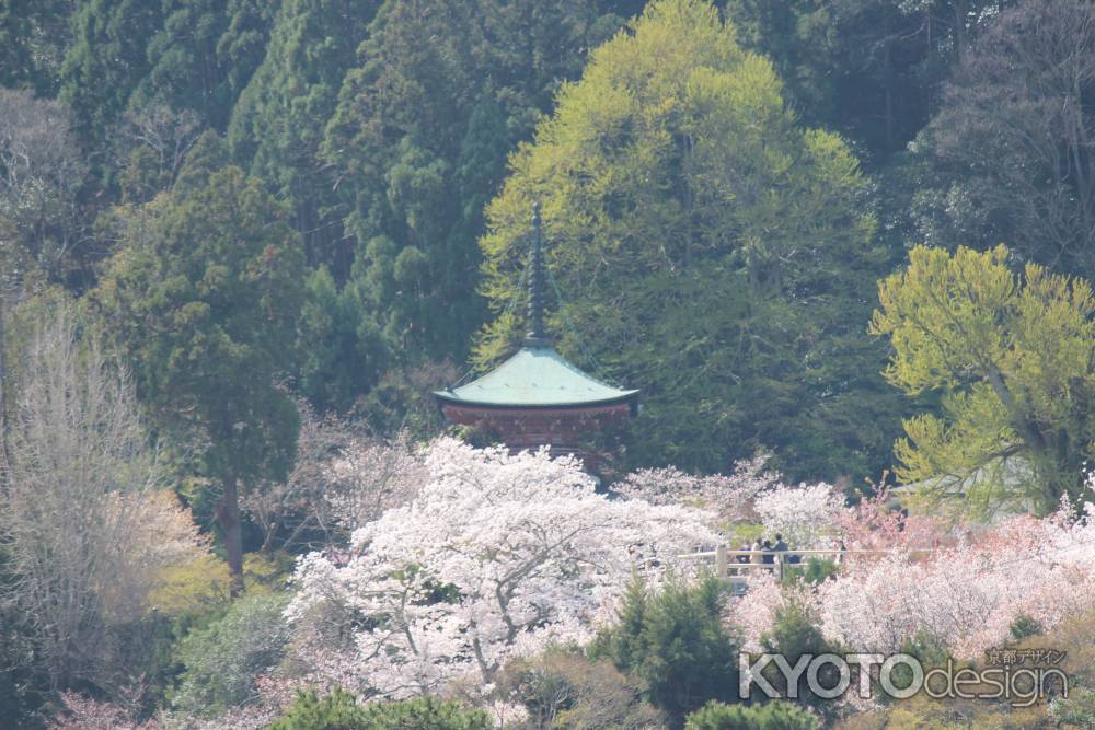 虚空蔵法輪寺