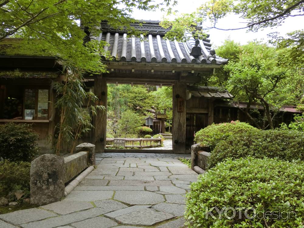 宝泉院 山門