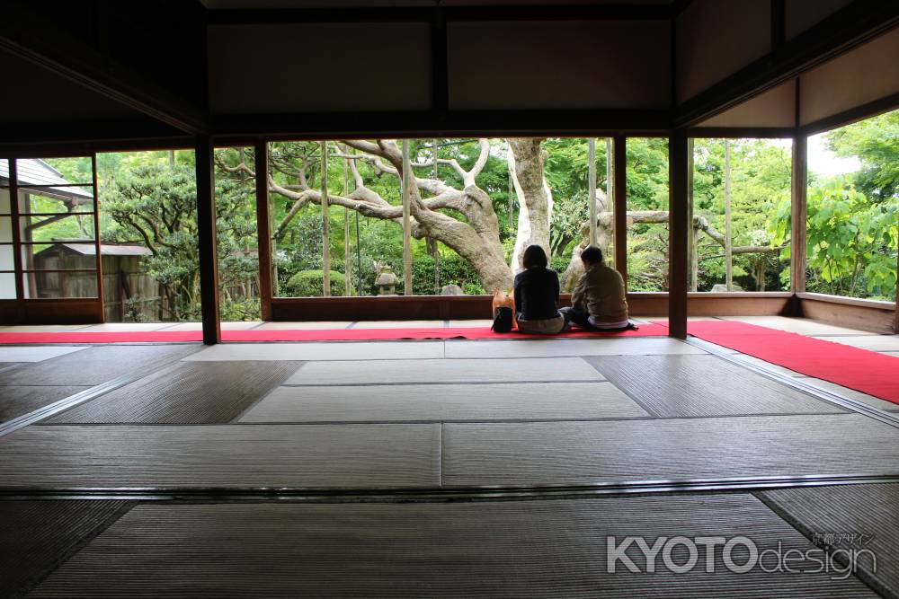 宝泉院 庭園