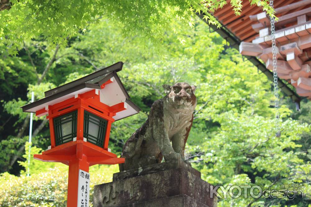 鞍馬寺　狛犬