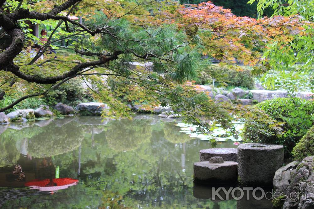 平安神宮　神苑　池