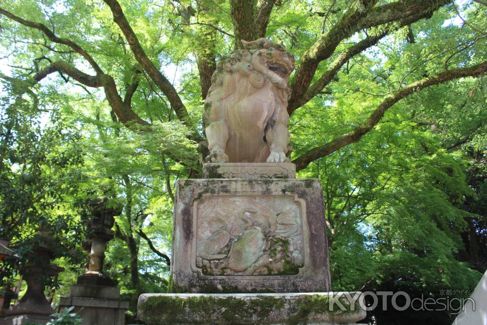 八坂神社　狛犬