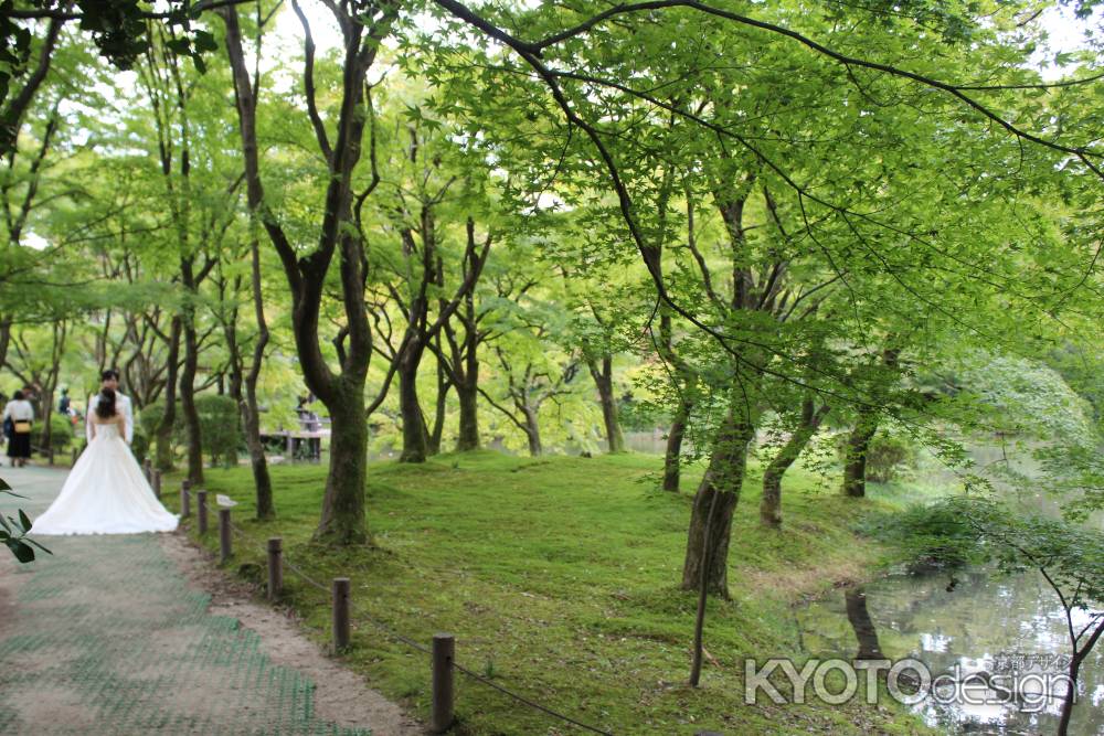 京都府立植物園