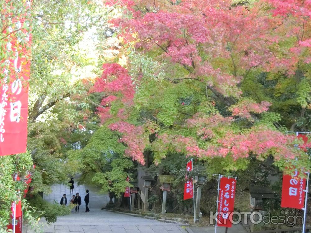 虚空蔵法輪寺参道