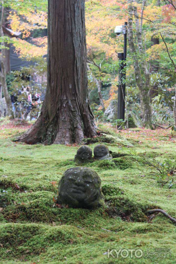 大原三千院　わらべ地蔵