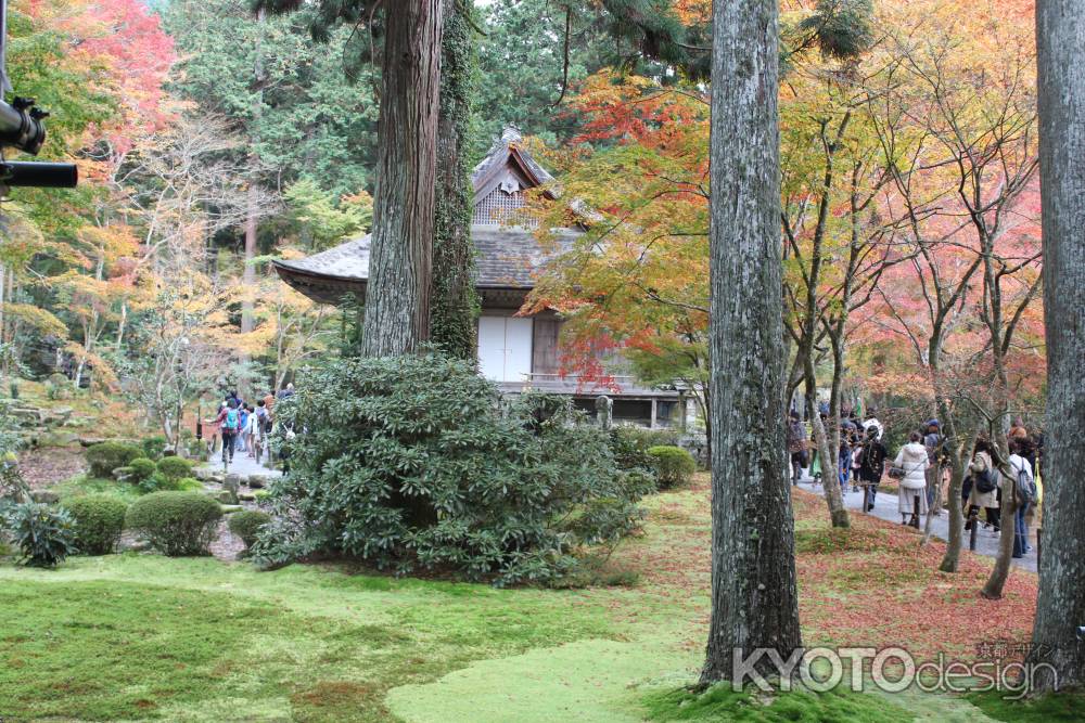 大原三千院 観光客