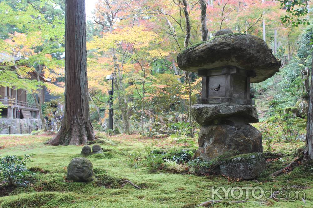 三千院 わらべ地蔵と燈籠