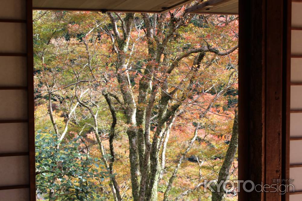 紅葉の高雄　高山寺　石水院