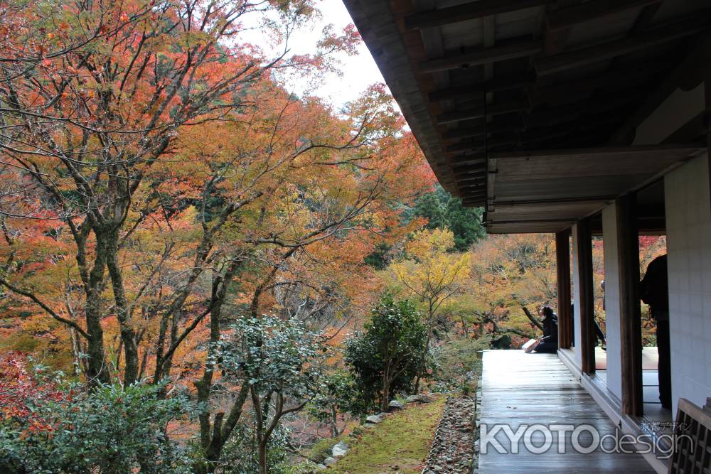 紅葉の高雄　高山寺　石水院6