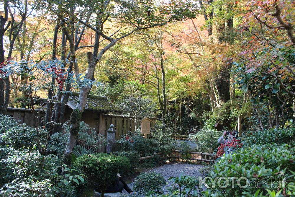 紅葉の高雄　高山寺　石水院5