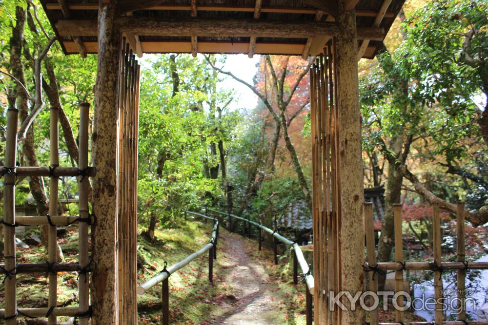 紅葉の高雄　高山寺　茶園3