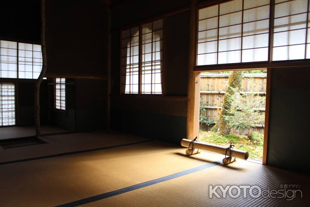 紅葉の高雄　高山寺　茶園2