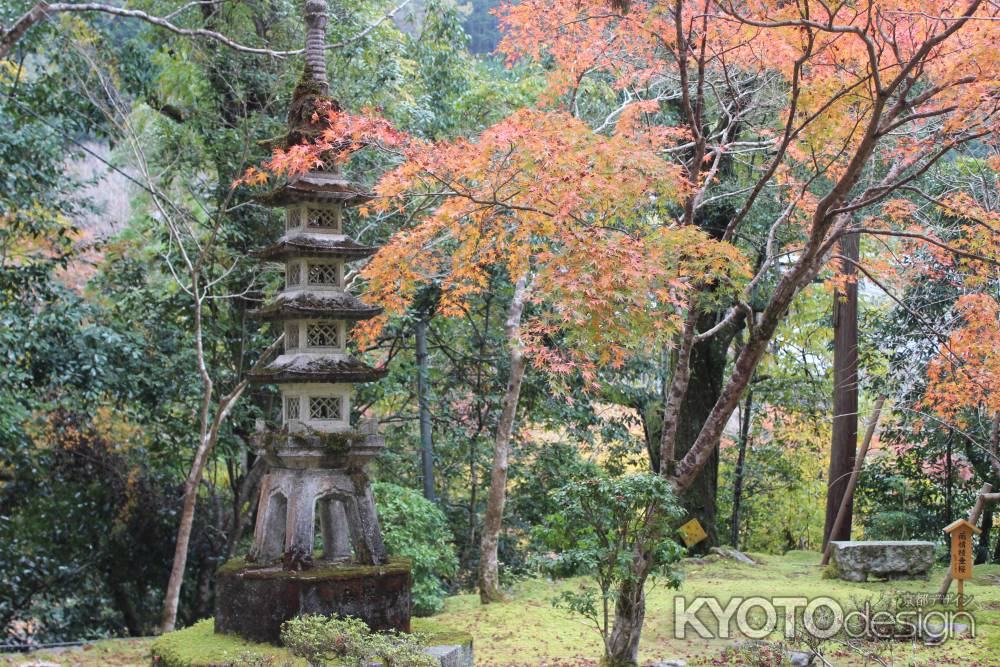 紅葉の高雄　西明寺