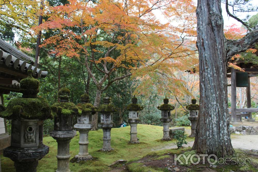 紅葉の高雄　西明寺