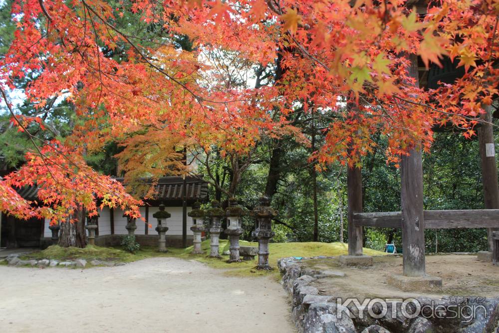 紅葉の高雄　西明寺3