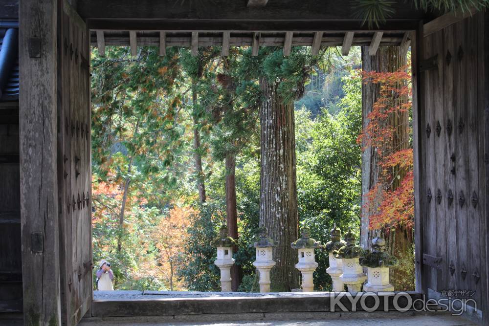 紅葉の高雄　西明寺