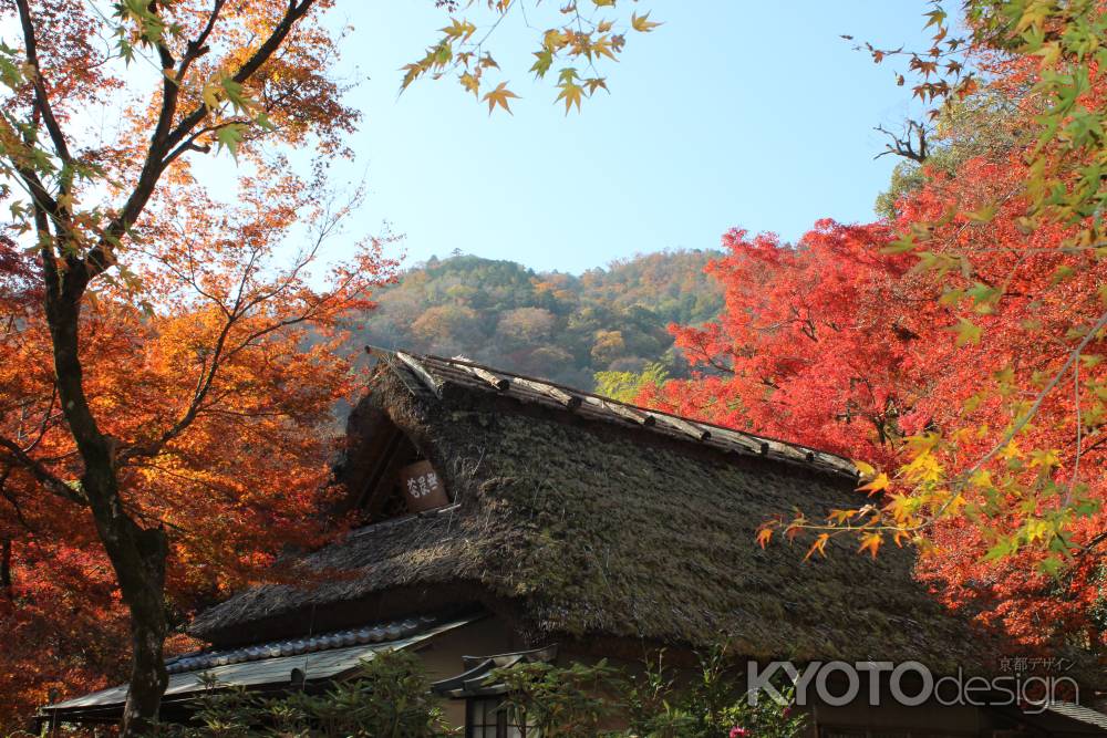 宝厳院の紅葉