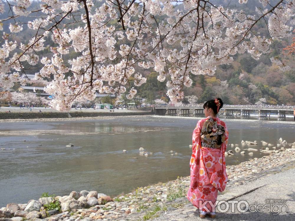 嵐山の桜