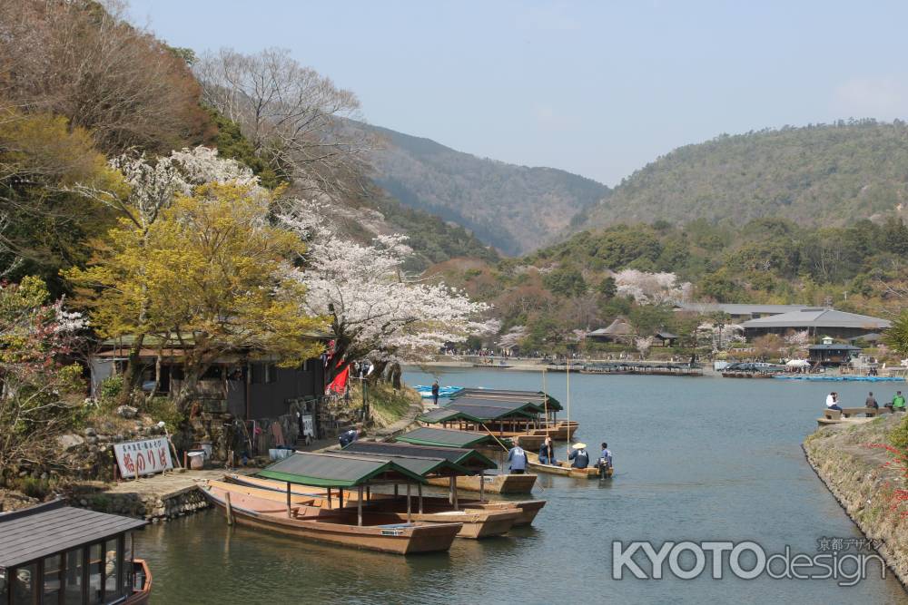 嵐山の桜