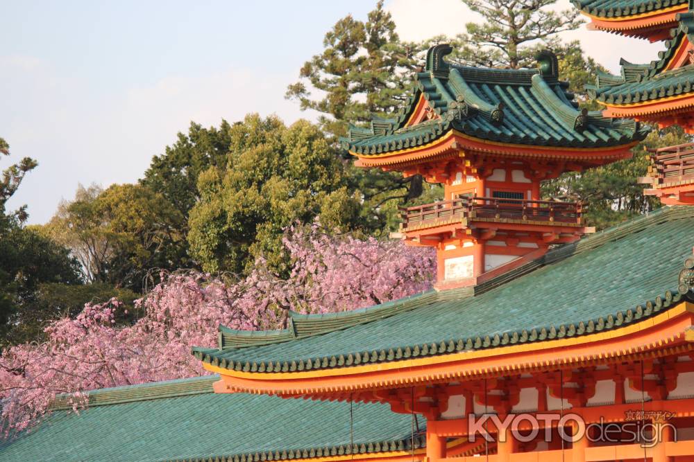 平安神宮神苑の桜