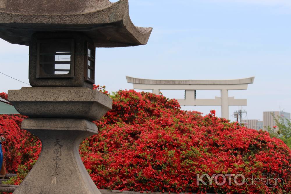 長岡天満宮のツツジ