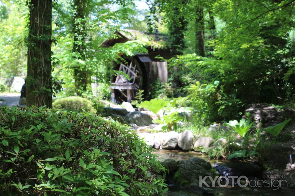 京都府立植物園