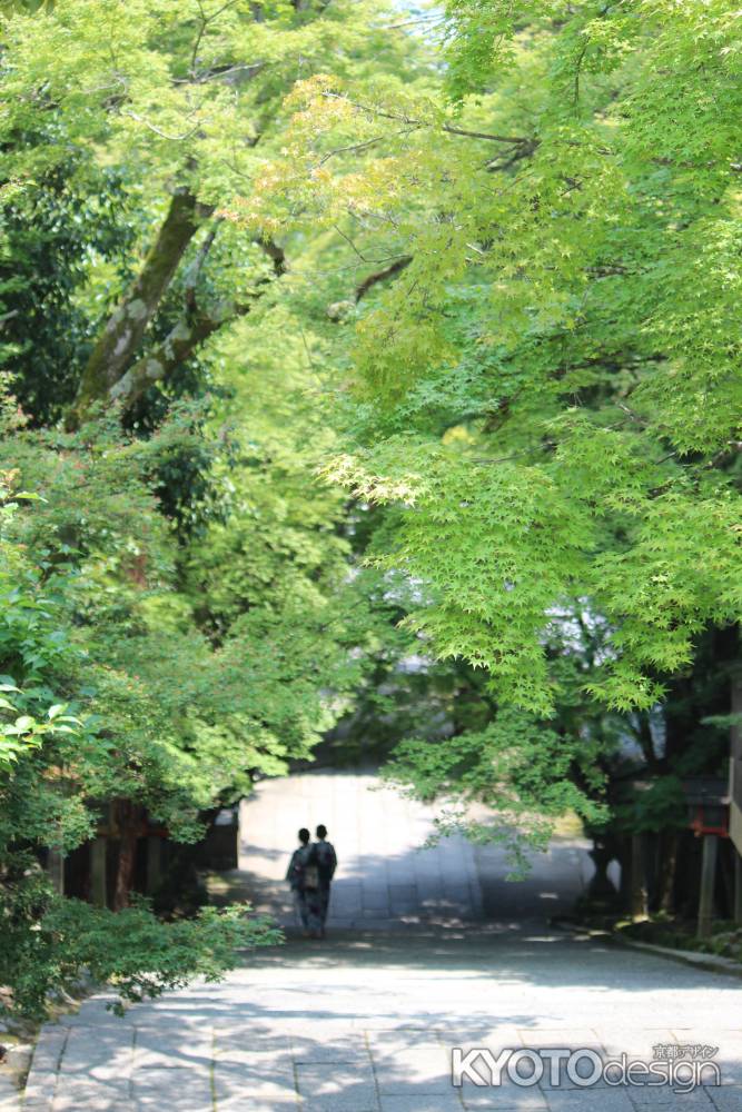 虚空蔵法輪寺　石段