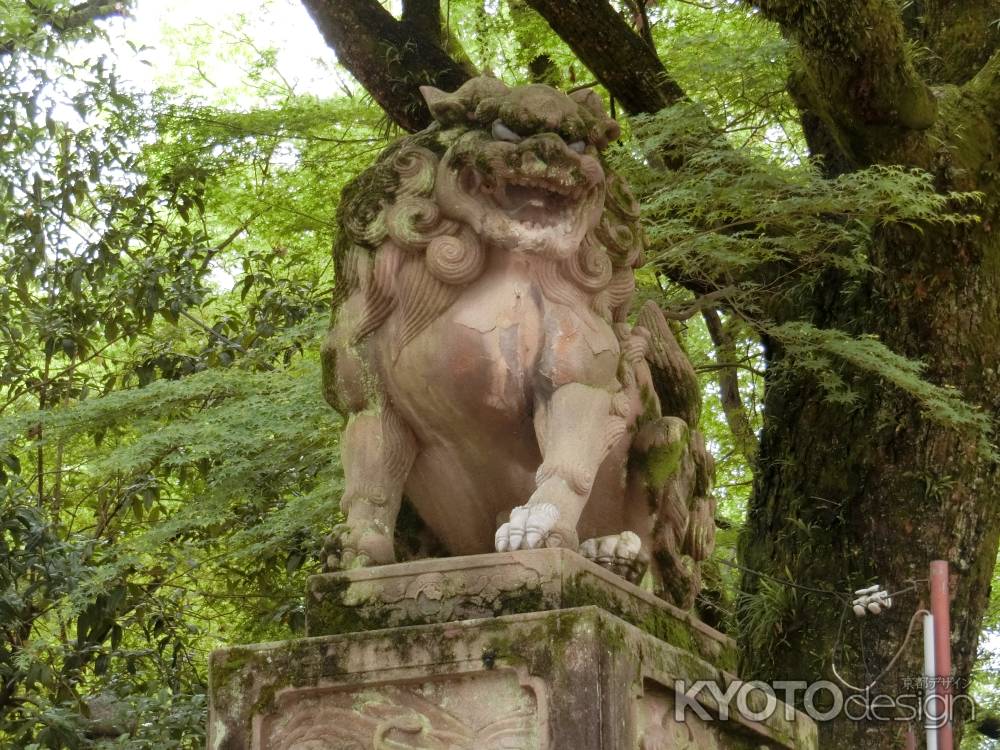 八坂神社　狛犬