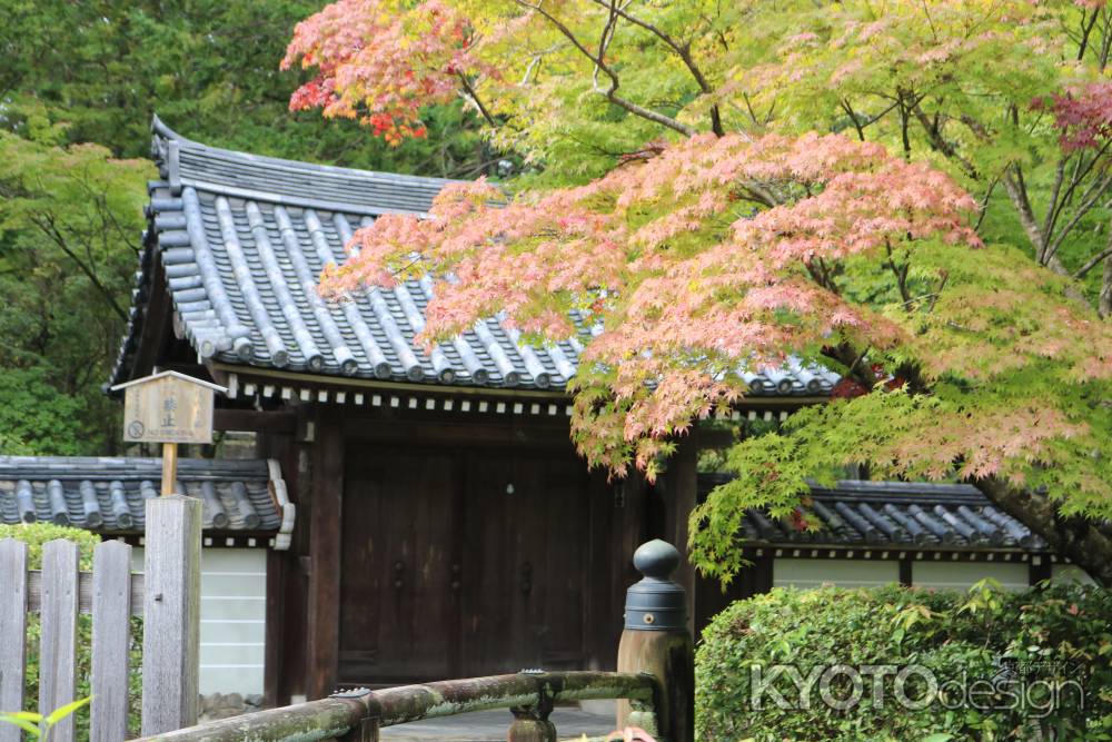 西芳寺庭園7