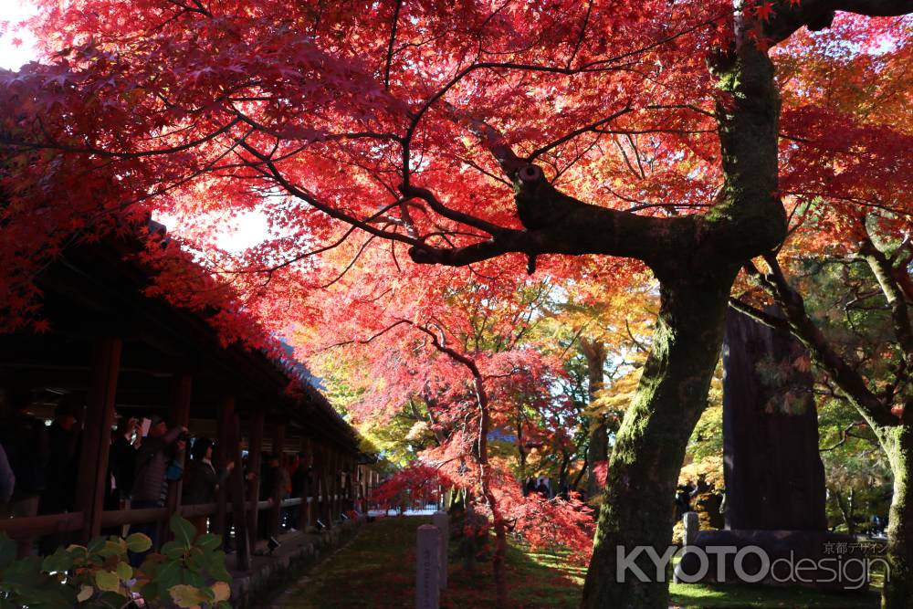 東福寺