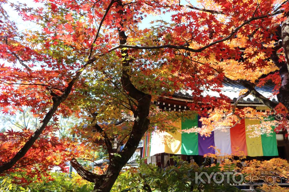 今熊野社の紅葉