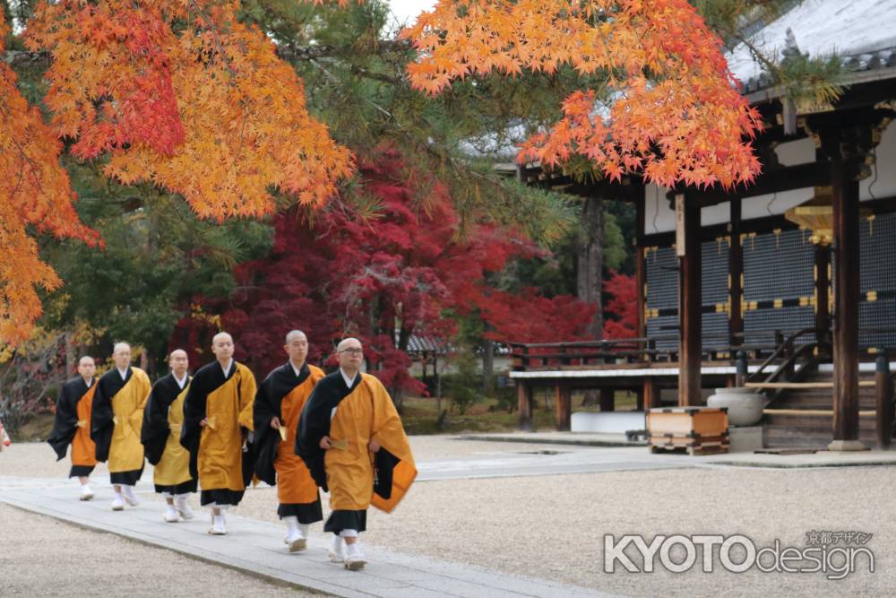 仁和寺の紅葉