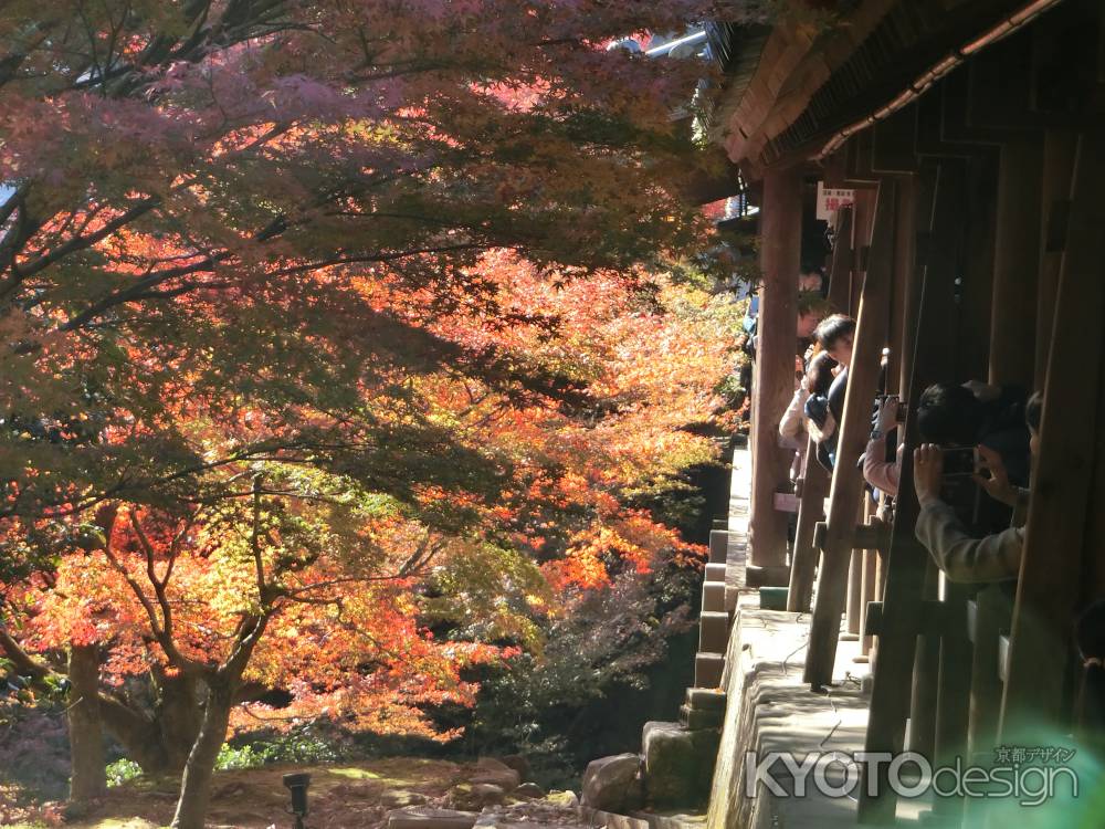 東福寺の紅葉2