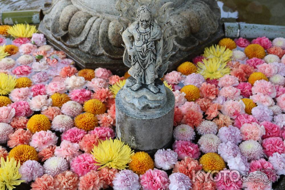 三室戸寺手水鉢