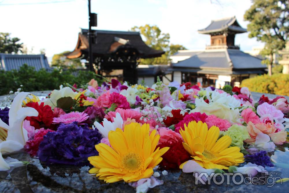 大谷祖廟　手水の花