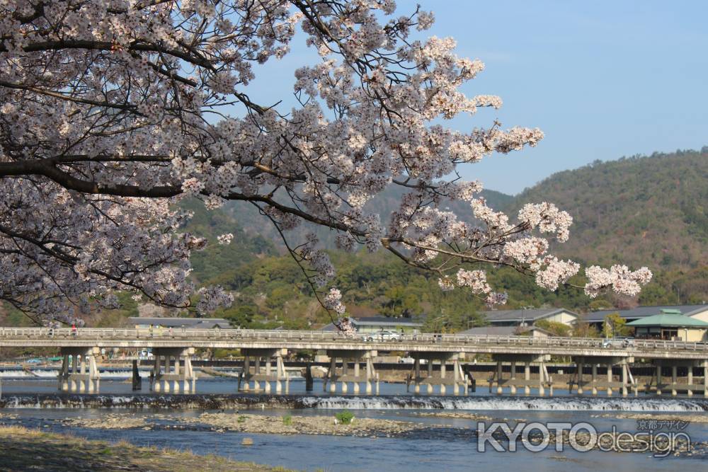 嵐山の桜2