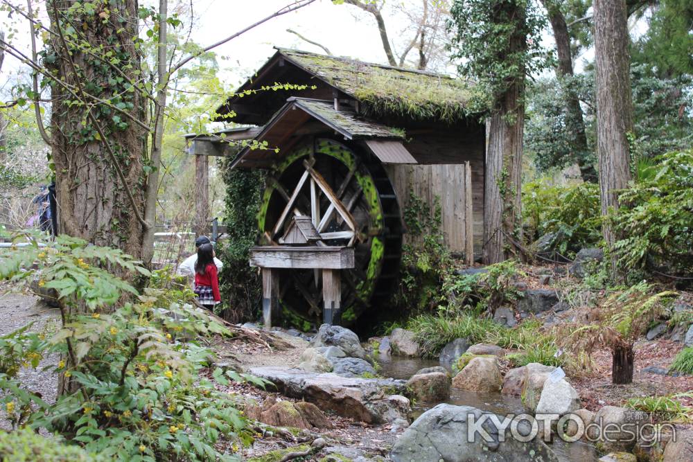 京都府立植物園の水車