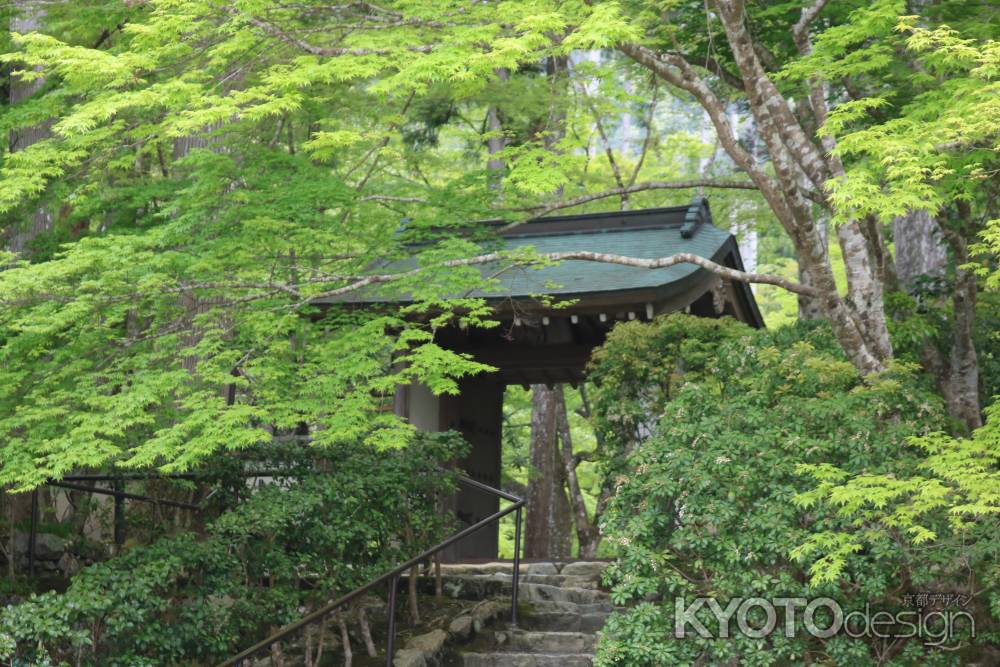 三千院 青紅葉