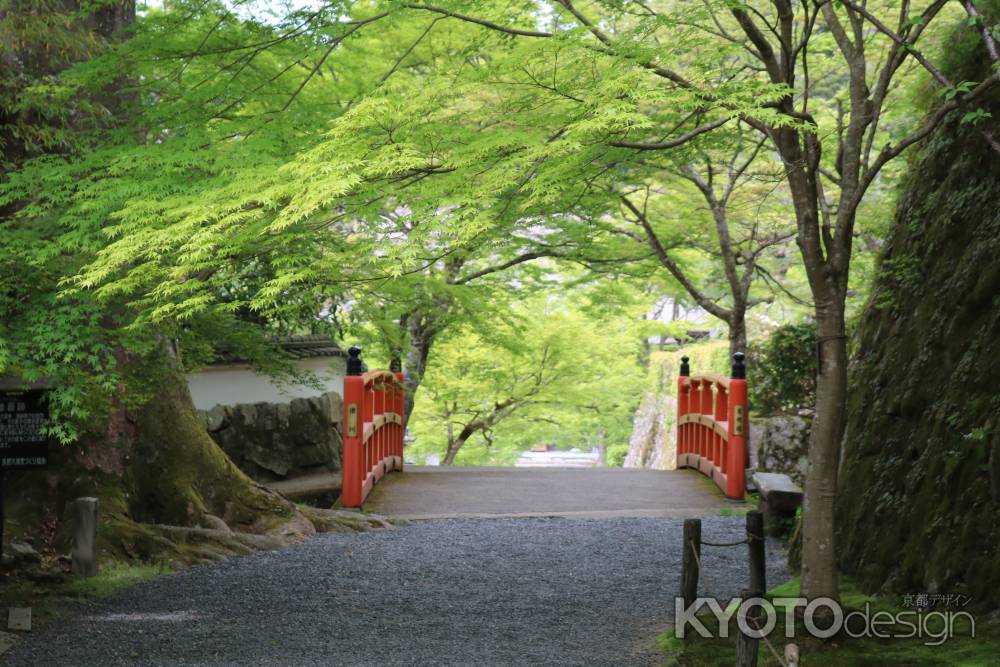 三千院　参道