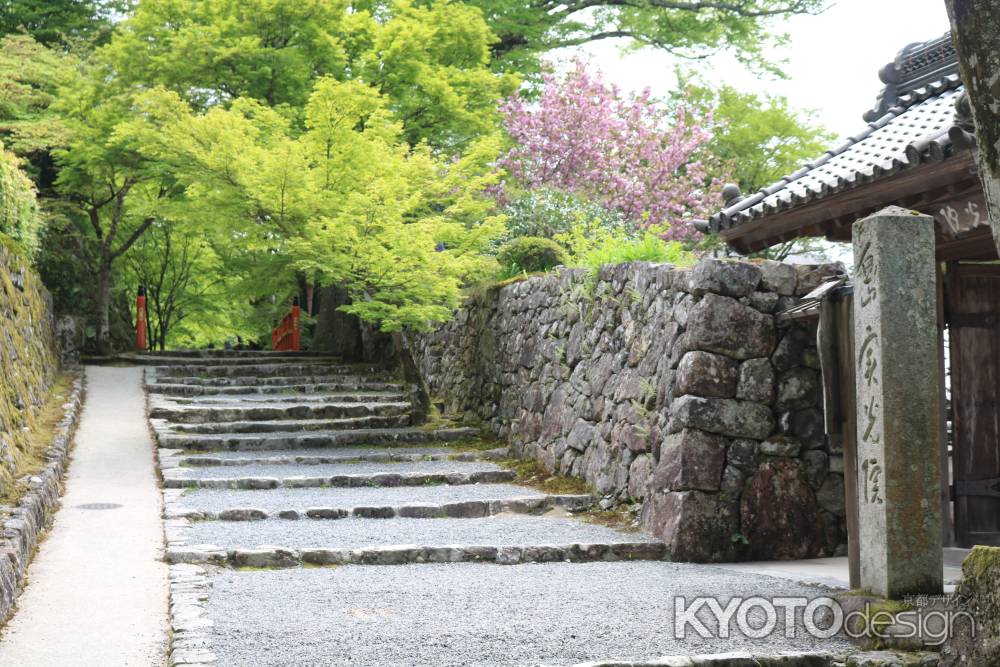 三千院　参道2