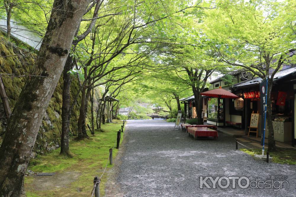 三千院　参道3