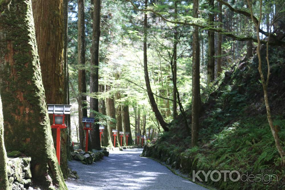 貴船神社　奥の院参道