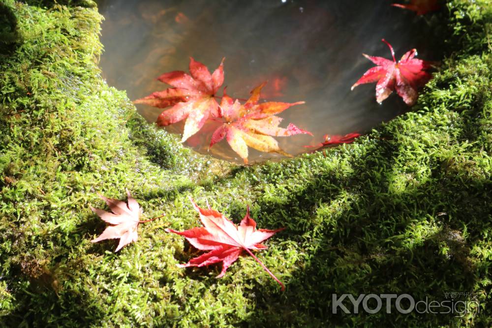 大河内山荘　紅葉