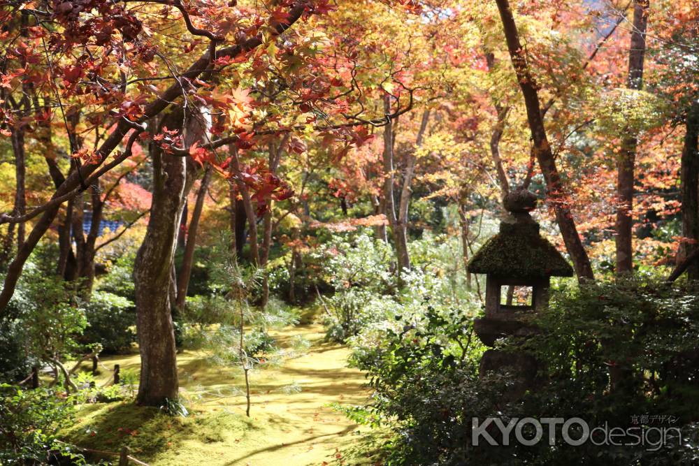 大河内山荘　紅葉4